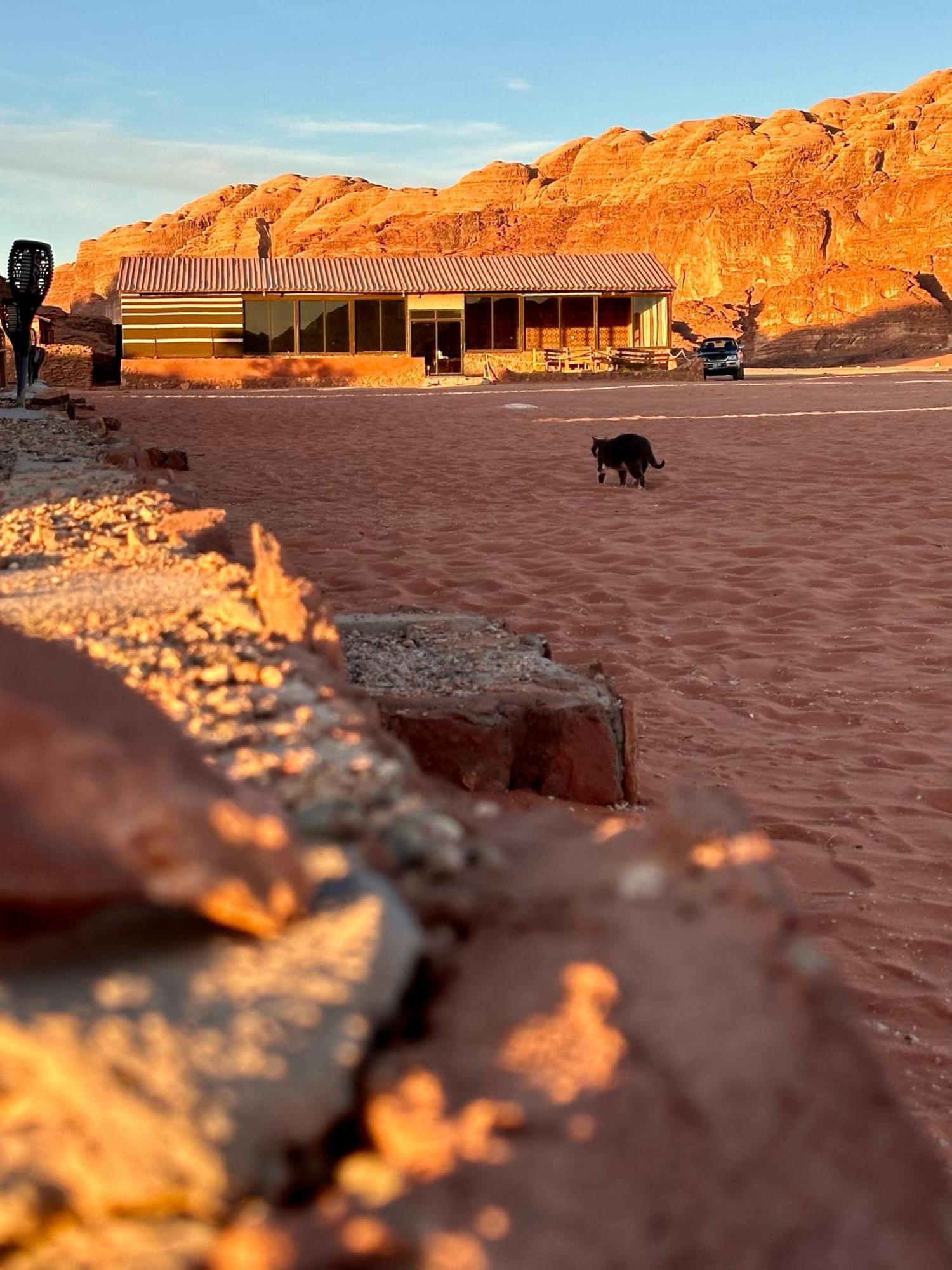 מלון וואדי רם Salameh'S Bedouin Camp מראה חיצוני תמונה